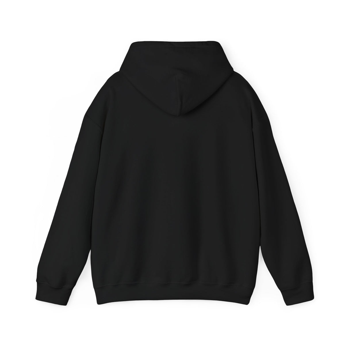 The Way The Truth The Life – John 14:6 Christian Hoodie | Heavy Blend Pullover