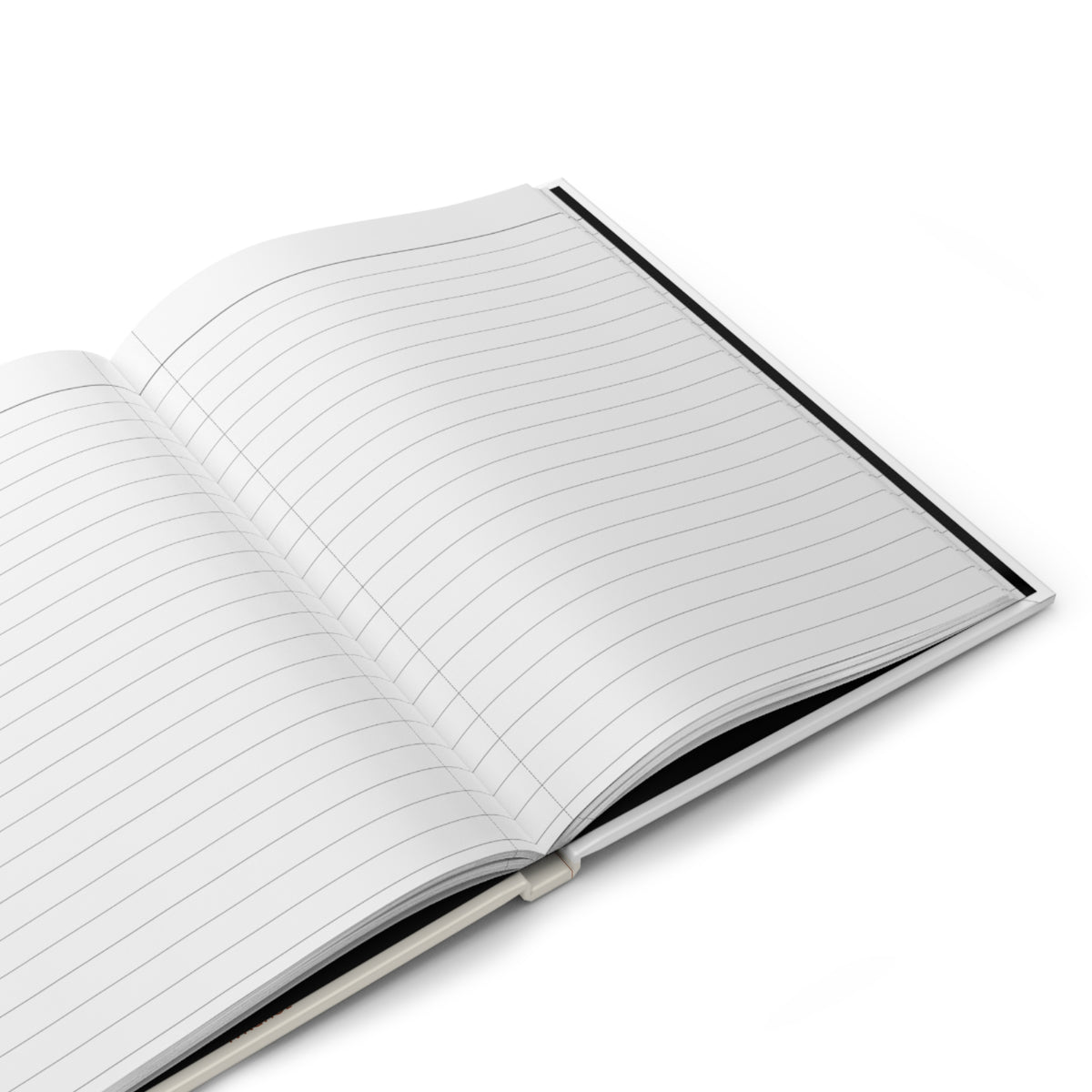 Mount Up / Not Weary Prayer Journal | Isaiah 40:31