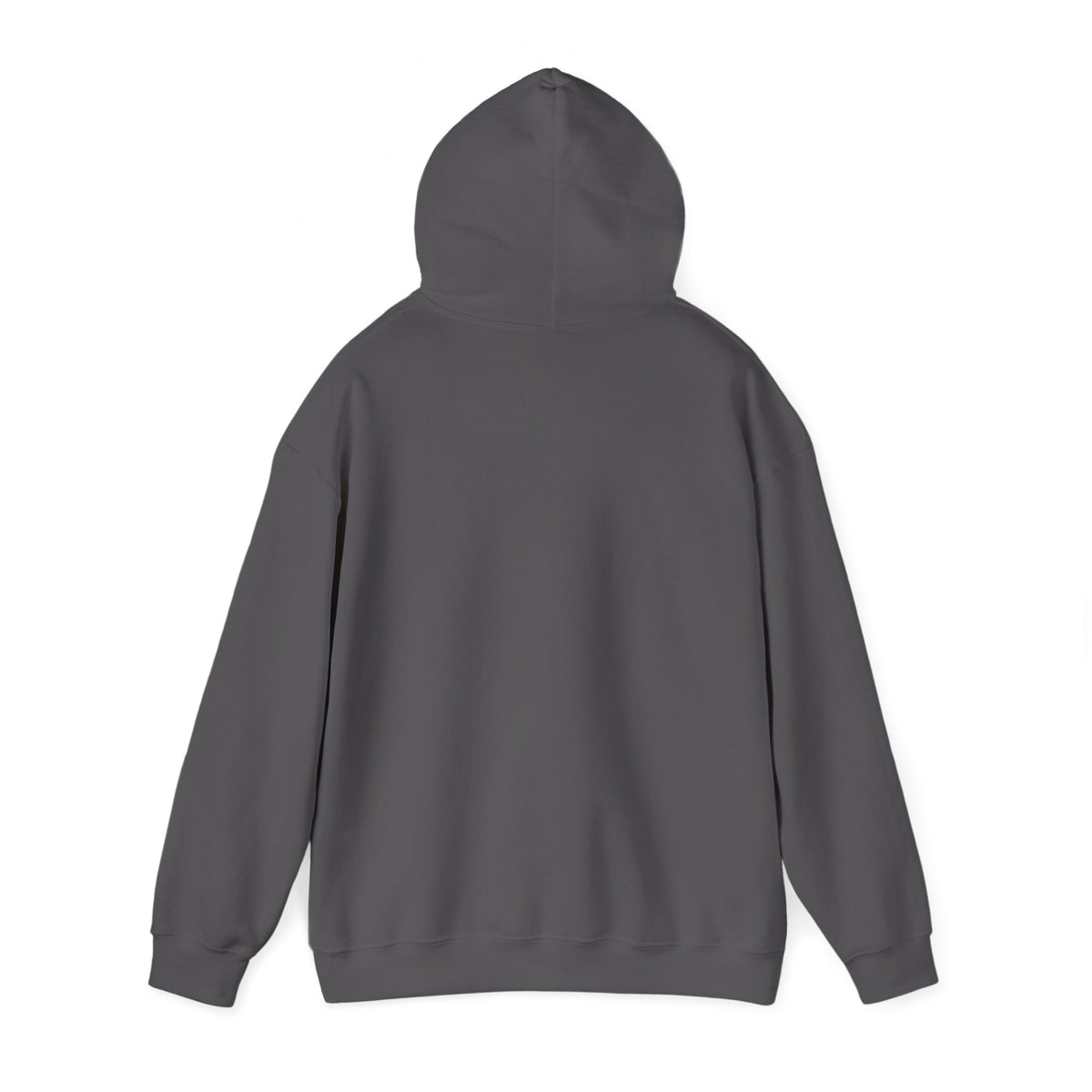 The Way The Truth The Life – John 14:6 Christian Hoodie | Heavy Blend Pullover