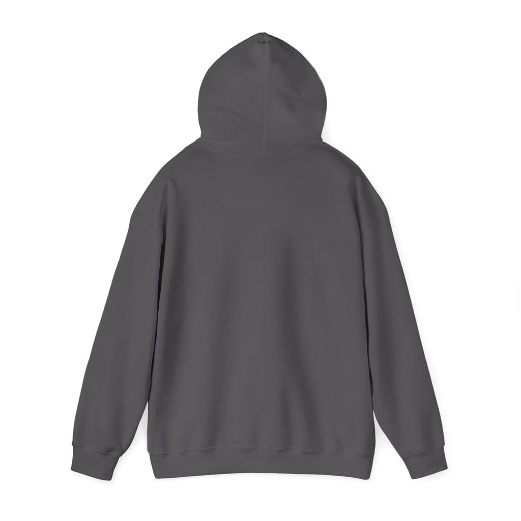 Be Still & Know Wildflower Psalm 46:10 Christian hoodie in charcoal, back, hood up mockup